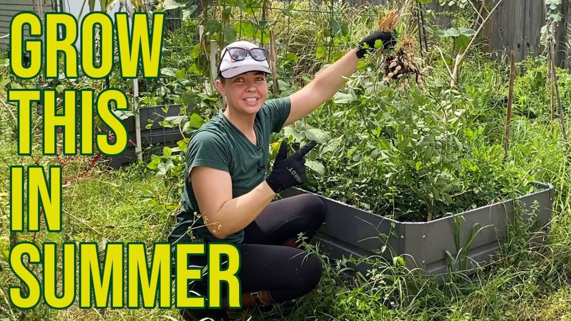 How to Prepare Your Florida Garden for Fall Planting Season