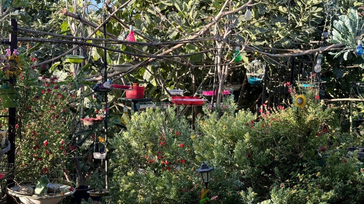 In the BIRD Garden having Morning Coffee, Robbie and Gary Gardening Easy is live!