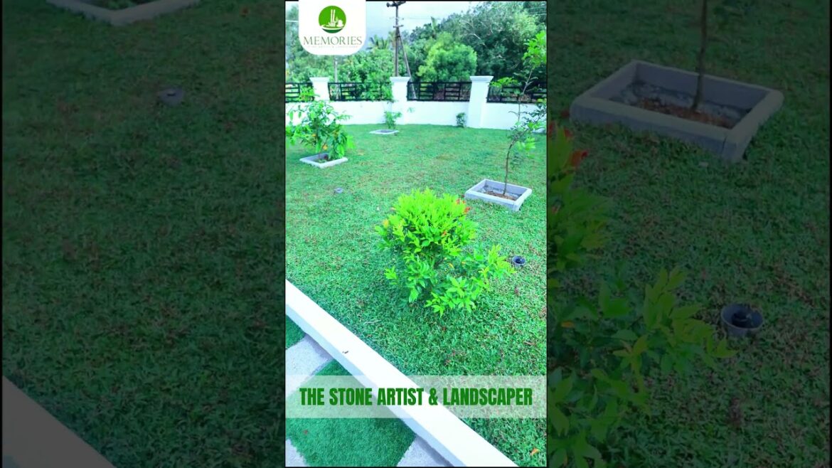 At Memory Stones, we create the best landscapes that enhance the beauty of your home. At Memory Stones, we create the best landscapes that enhance the beauty of your home.