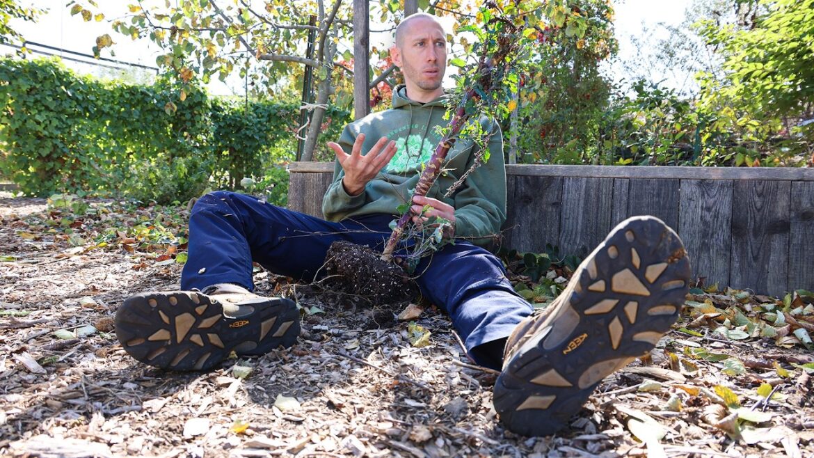 is a fall garden a waste of time?