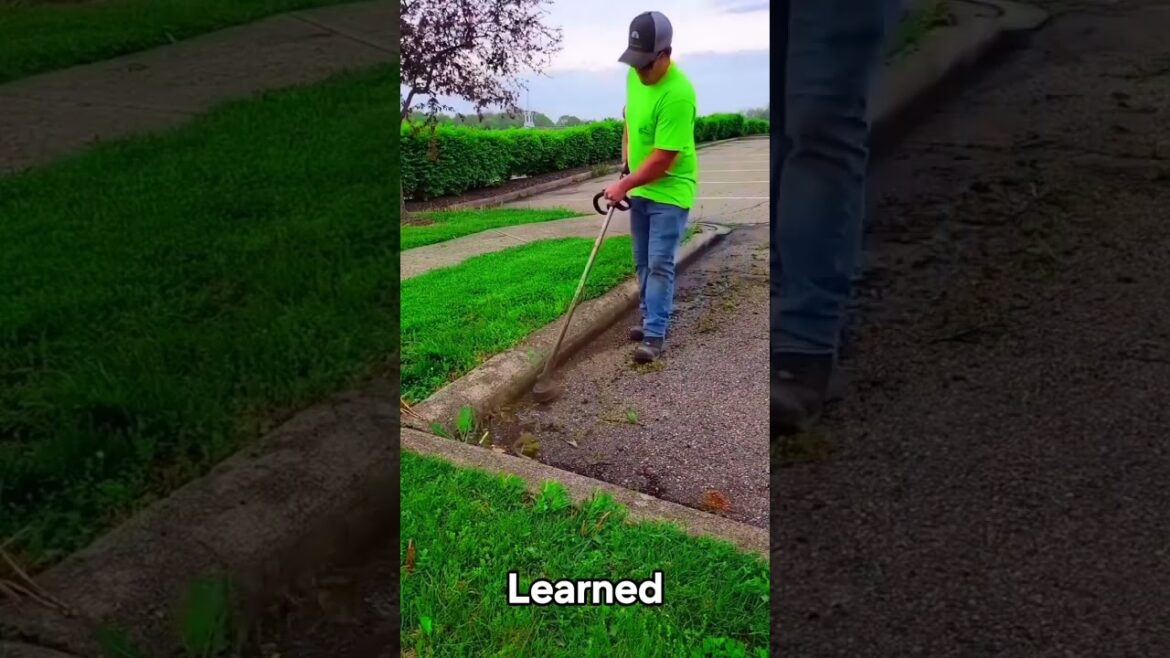 Satisfying Gardening Work 🌳 #garden #gardening #satisfying #cleaning #grass #lawn #viral #fyp #73 Satisfying Gardening Work 🌳 #garden #gardening #satisfying #cleaning #grass #lawn #viral #fyp #73