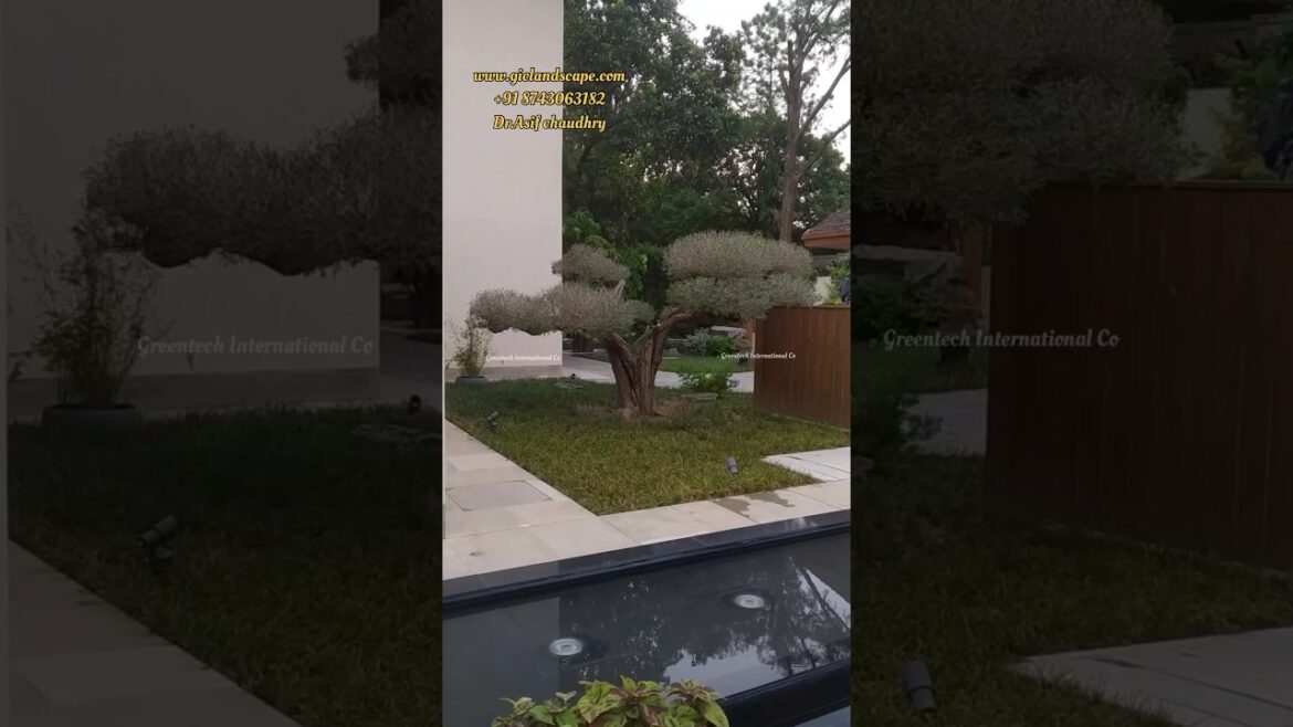 “Japanese Garden” Landscape service by Greentech International Co.#shorts #nature #garden #viral