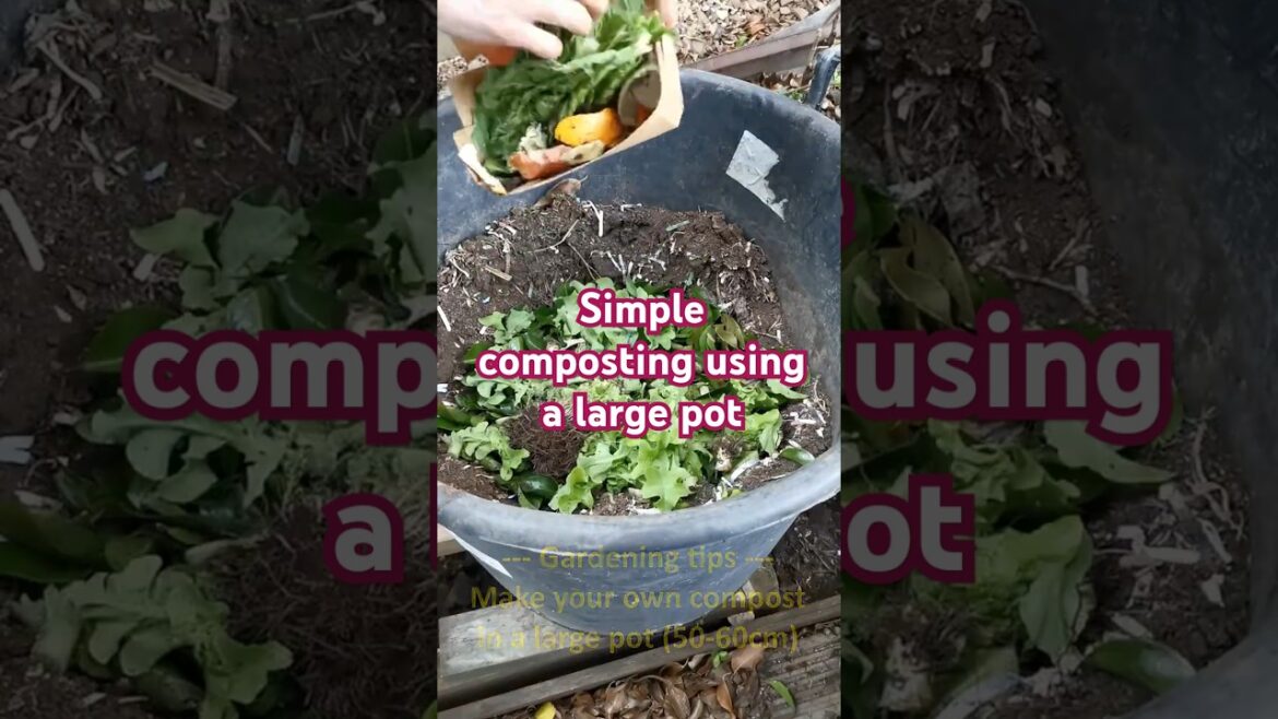 Gardening tips #8 –  Make your own compost in a large pot Gardening tips #8 -  Make your own compost in a large pot