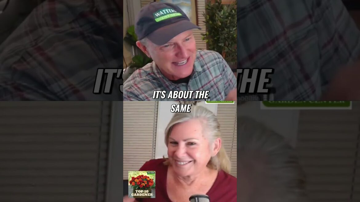 Planting Aspens - Don’t Listen to Neighbors!