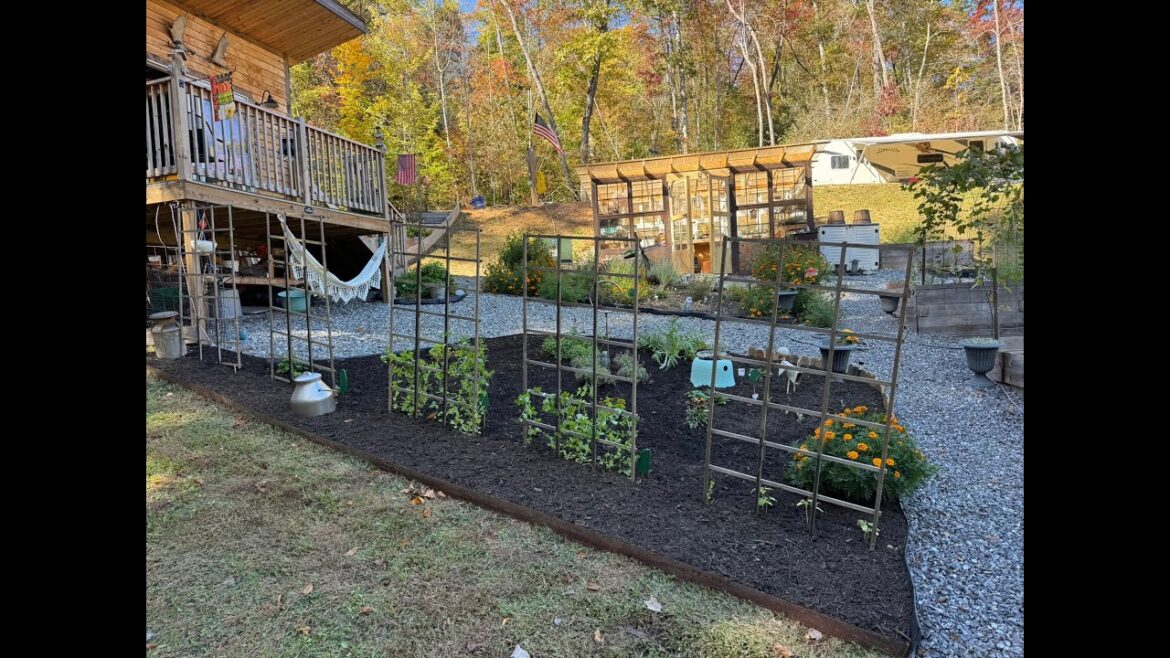 Property update video exactly one year deep into building a homestead from scratch