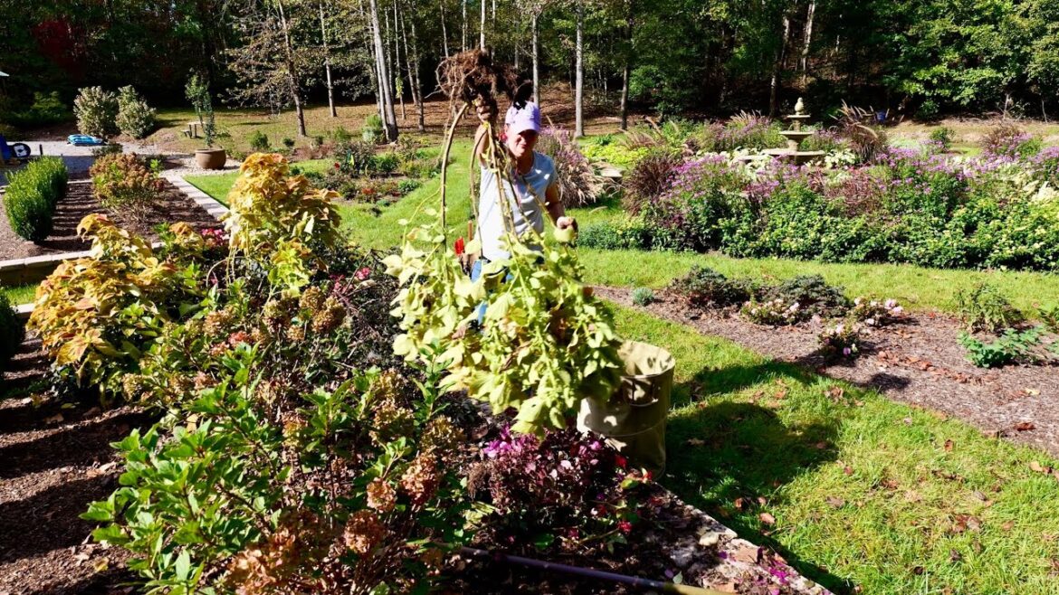 Fall Signature Garden Clean-Up & Looking Towards Spring Fall Signature Garden Clean-Up & Looking Towards Spring