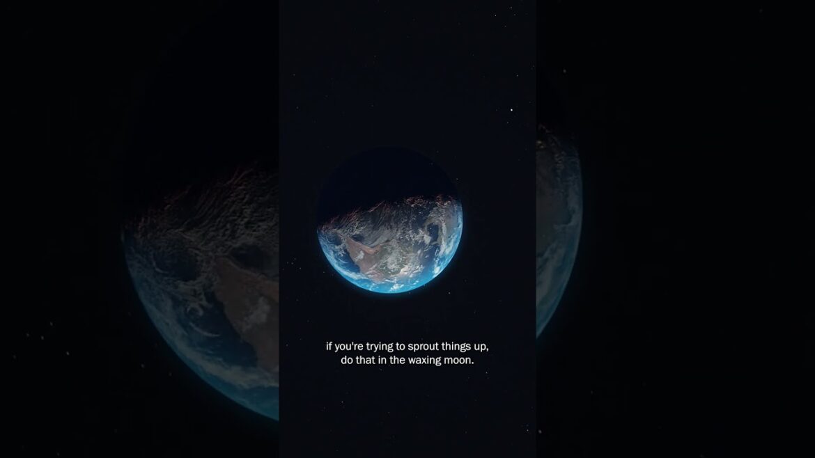 What Is Moon Gardening? #ancientwisdom