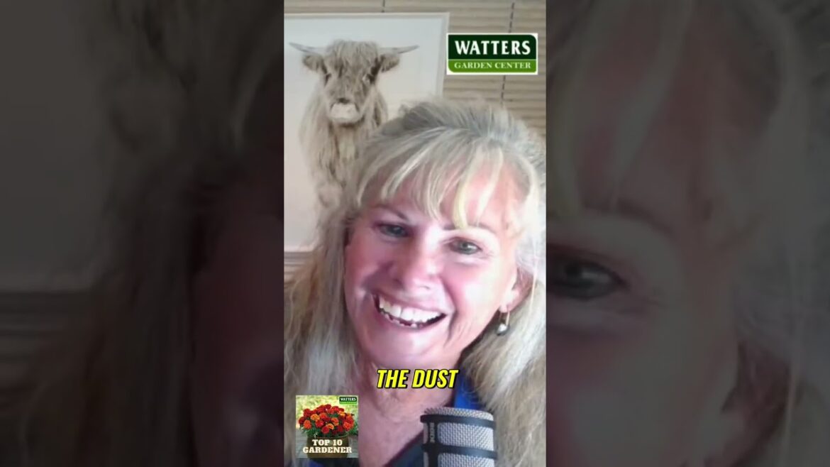 Fall Gardening Secrets