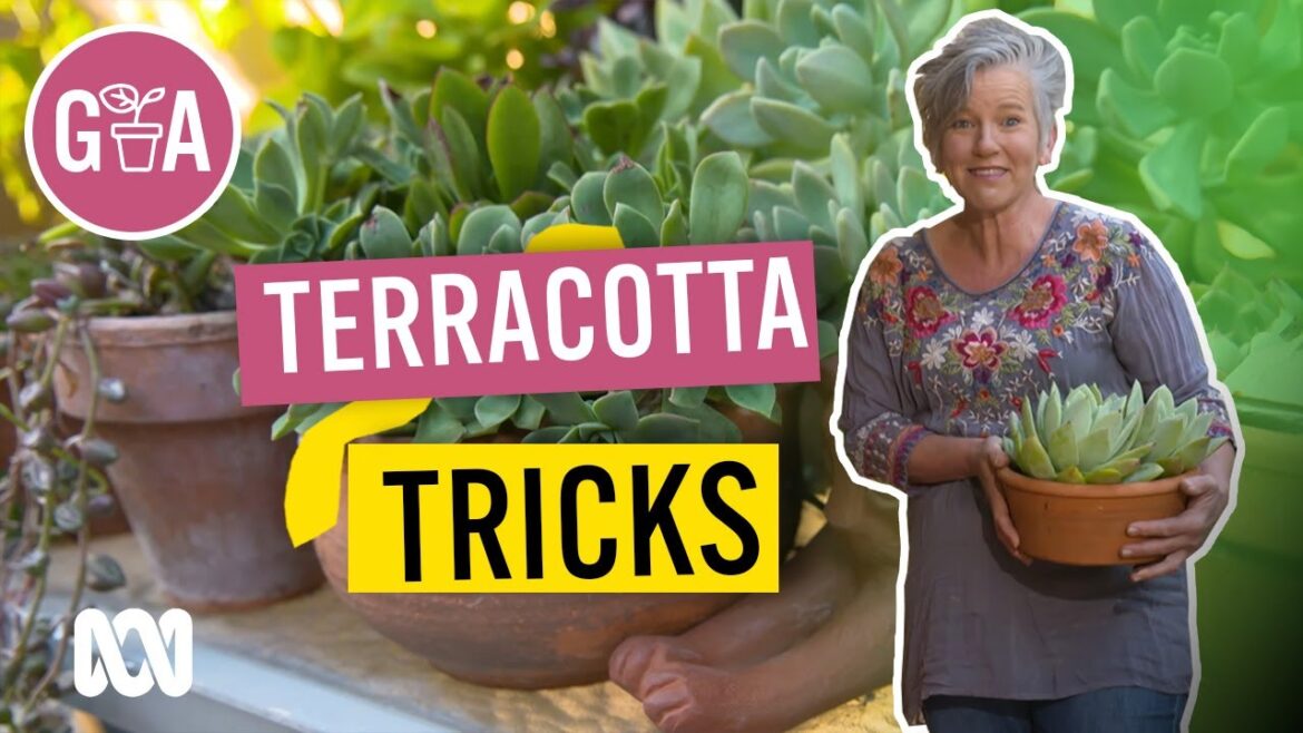 Easy Terracotta Pot Tips and Tricks | Gardening Hacks | Gardening Australia Easy Terracotta Pot Tips and Tricks | Gardening Hacks | Gardening Australia