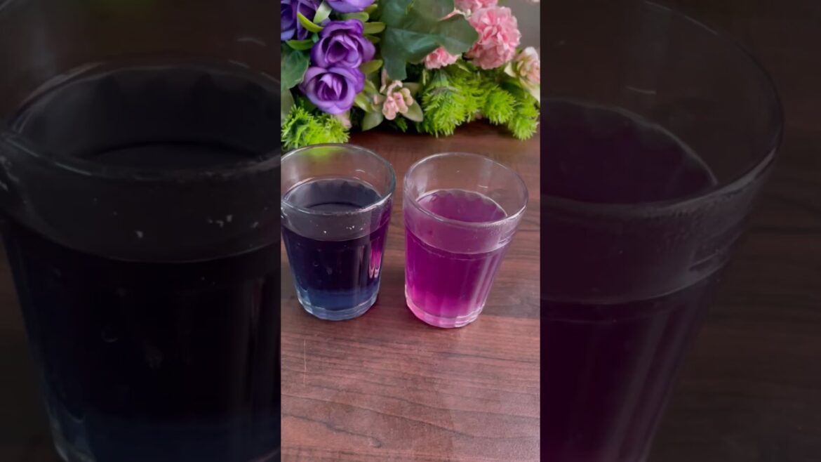 Sangu poo tea | Sangu poo benefits #shortsvideo #shortsfeed #trending #trends #viralshort #viral Sangu poo tea | Sangu poo benefits #shortsvideo #shortsfeed #trending #trends #viralshort #viral