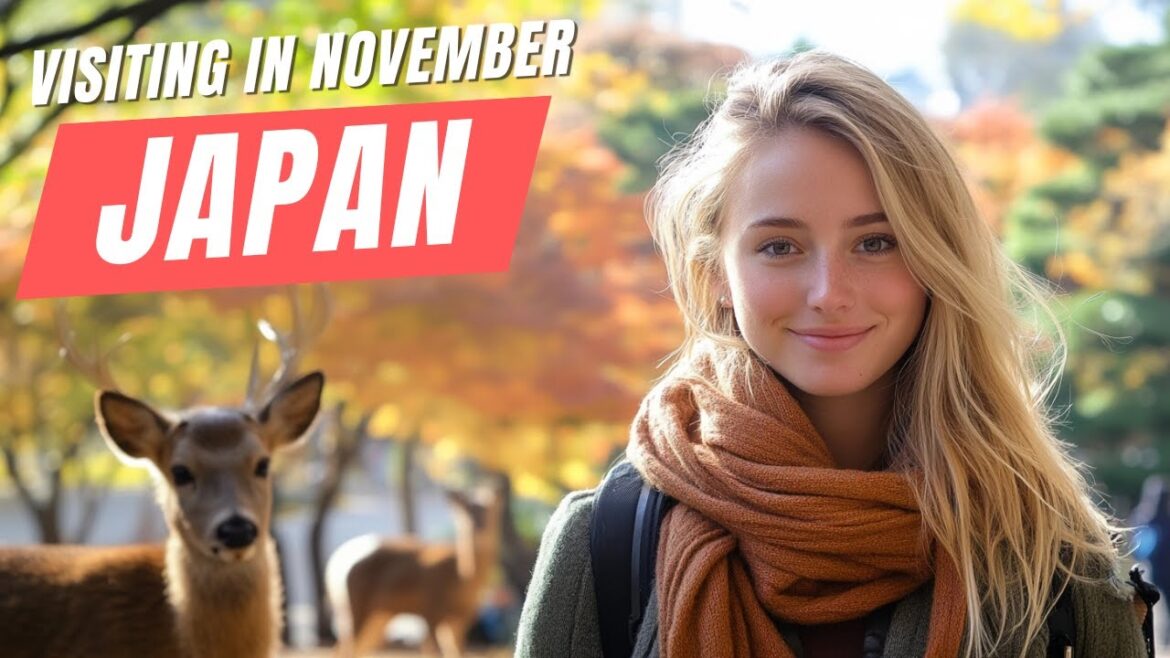 Is November 2024 the Best Month to Visit Japan? | Japan Travel Guide