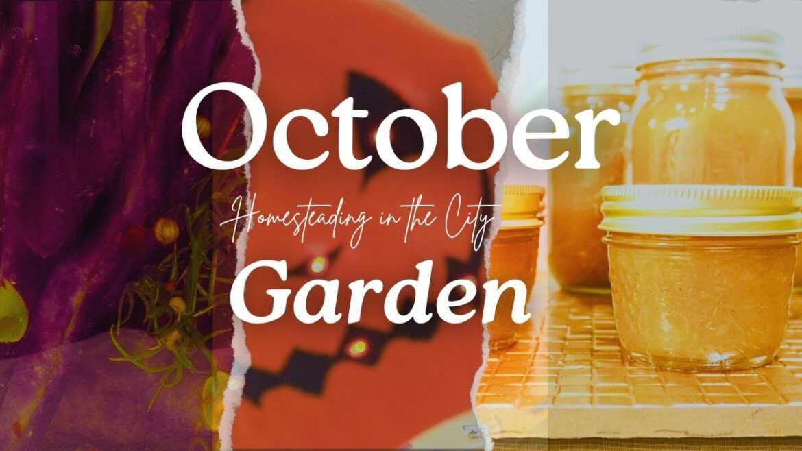 Preserving my October garden Preserving my October garden