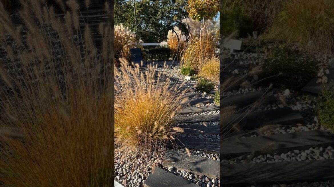 Great ideas for GARDEN