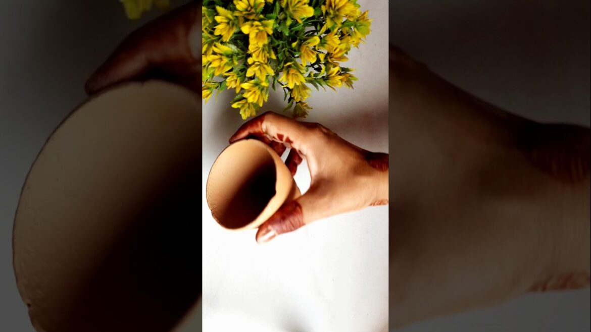 Ek bar aise plant lga ke dekhiye bahut sunder lagta hai | Snake plant propagation #shortsfeed #short