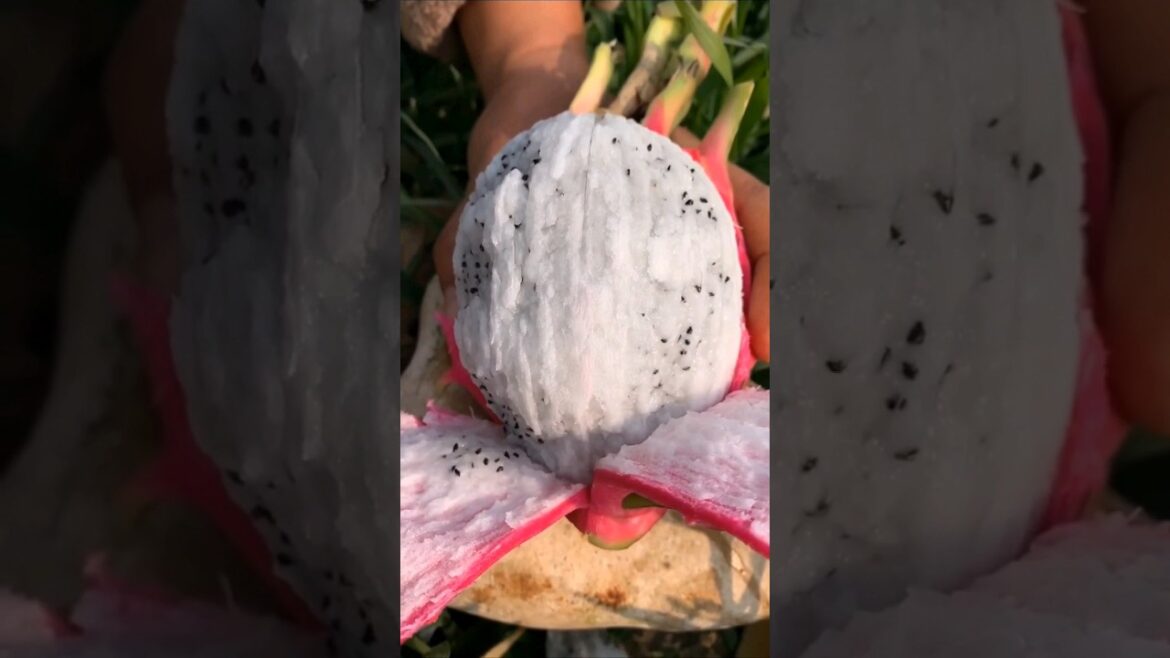 fresh farm fruits😋 #shorts #ytshorts #trending