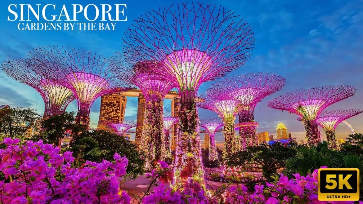 WALKING TOUR | SINGAPORE - Gardens by the bay, may 2024