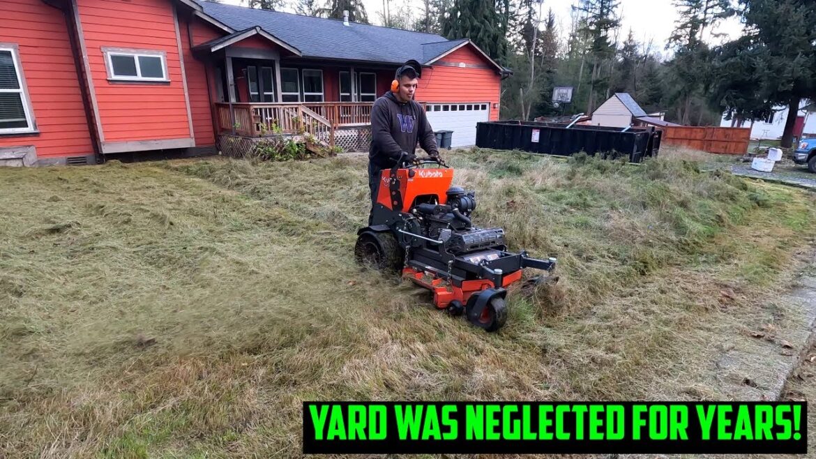 OVERGROWN LAWN & BLACKBERRY PATCHES! Property Clean-Up!