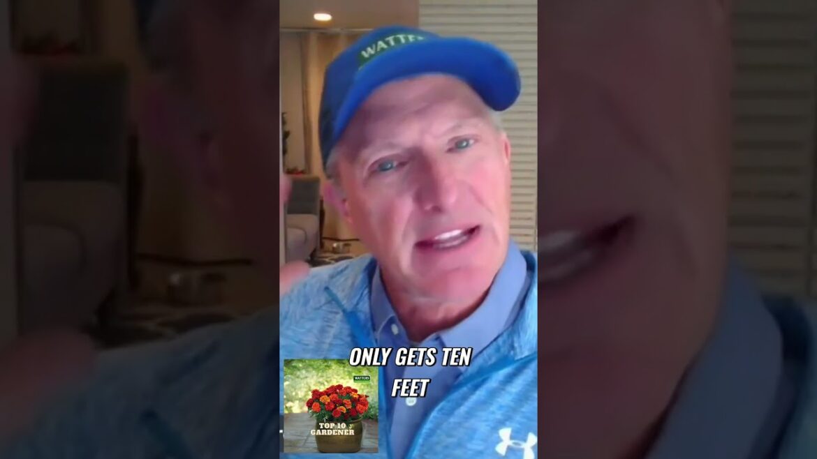 A Unique Addition to Your Landscape A Unique Addition to Your Landscape