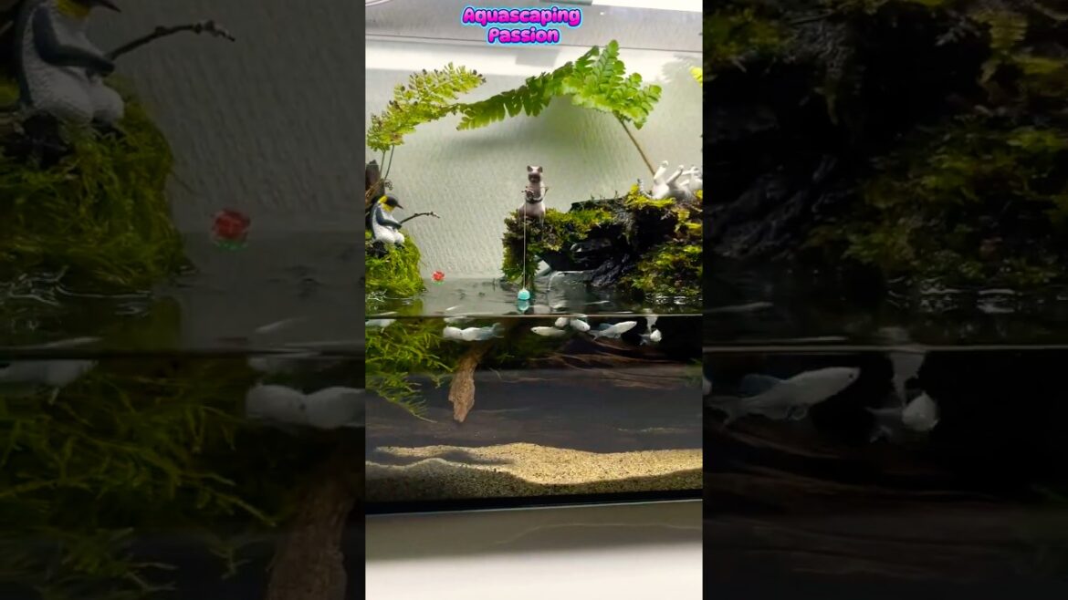 Aquascaping Ideas – Mini Outdoor Pond Aquascaping Ideas - Mini Outdoor Pond