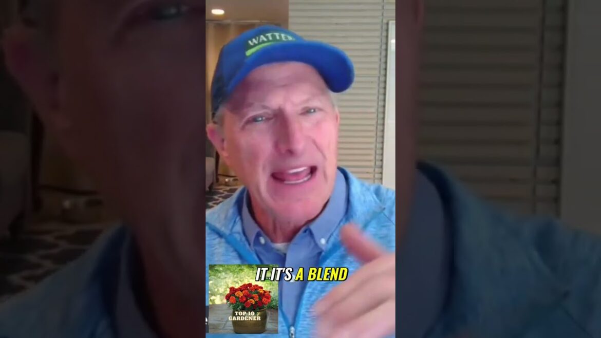 Transform Your Yard Transform Your Yard