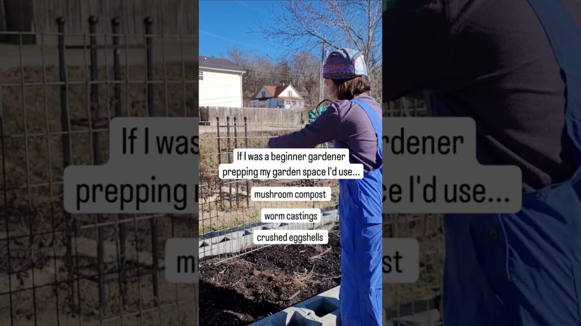 If I Were A Gardening Newbie, Here’s The Ultimate Space Prep Guide I’d Swear By! If I Were A Gardening Newbie, Here's The Ultimate Space Prep Guide I'd Swear By!