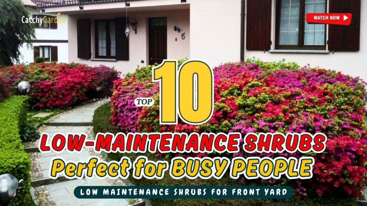 Top 10 LOW-MAINTENANCE SHRUBS Perfect for BUSY PEOPLE 🌿🌸🌱 // Gardening Ideas
