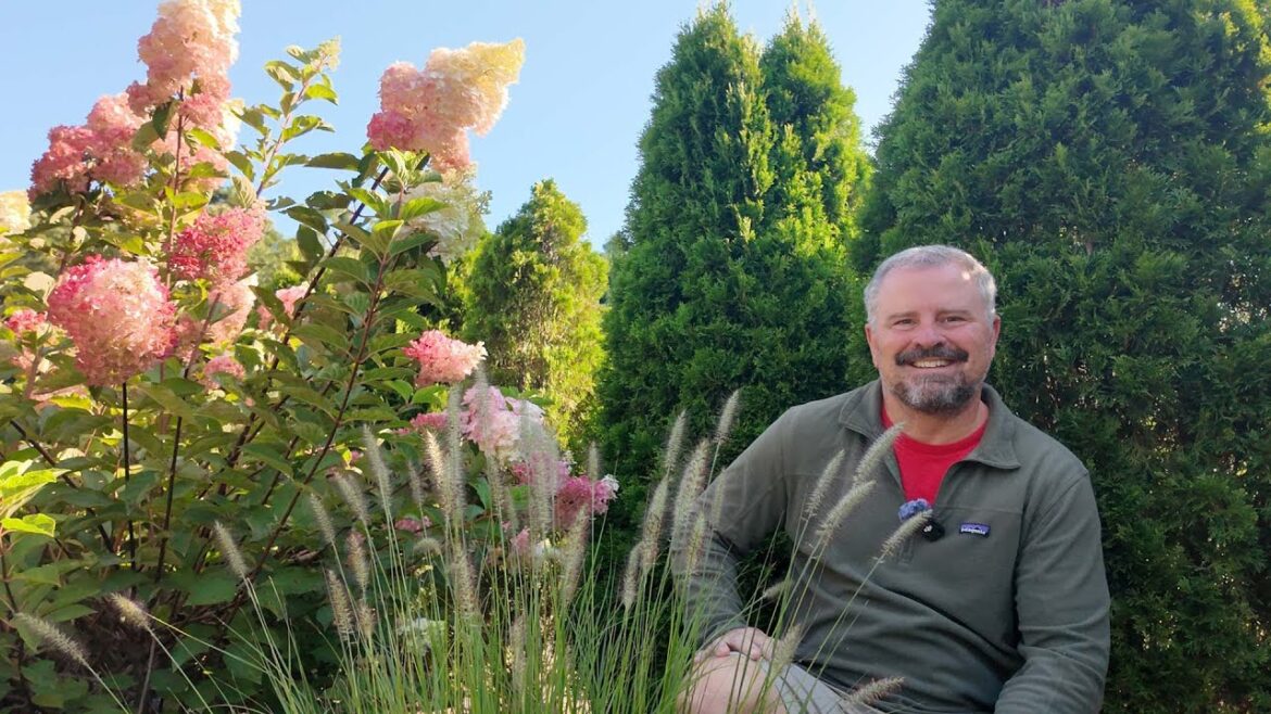 Roadside Screening Plant Tour - Awesome Design to Hide Auto Shop