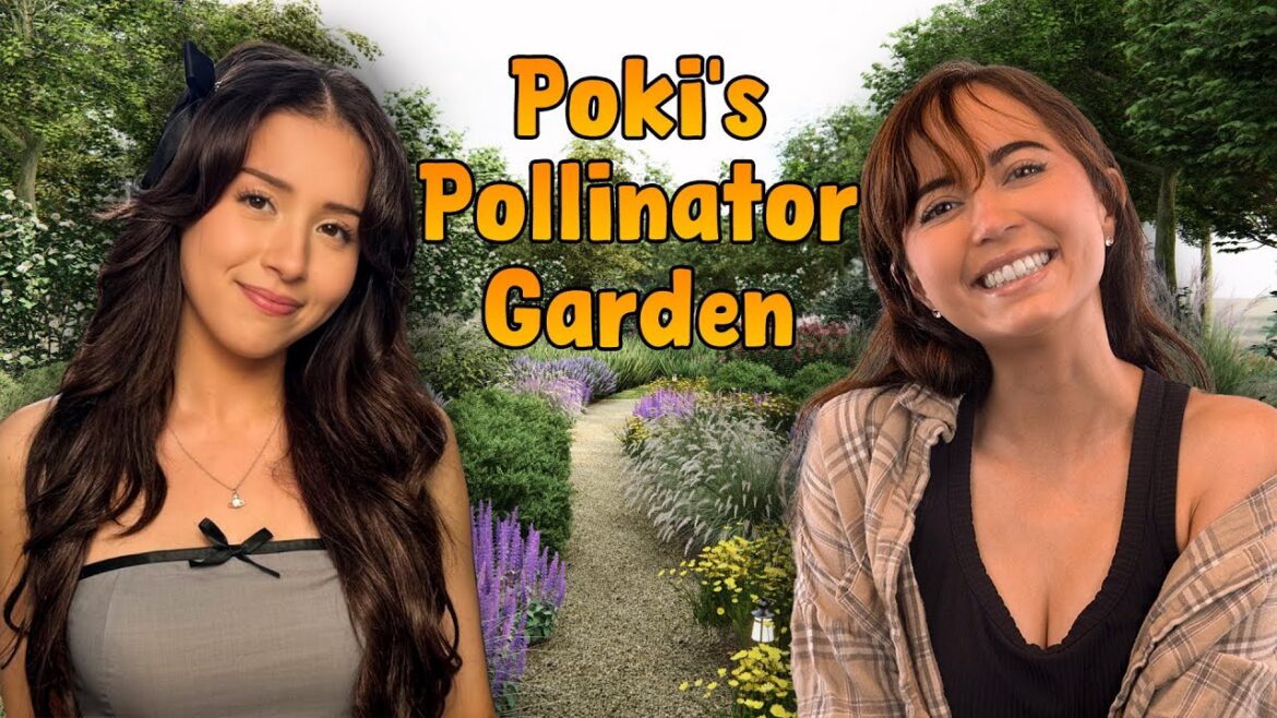 Planning Pokimane’s Pollinator Garden Planning Pokimane's Pollinator Garden