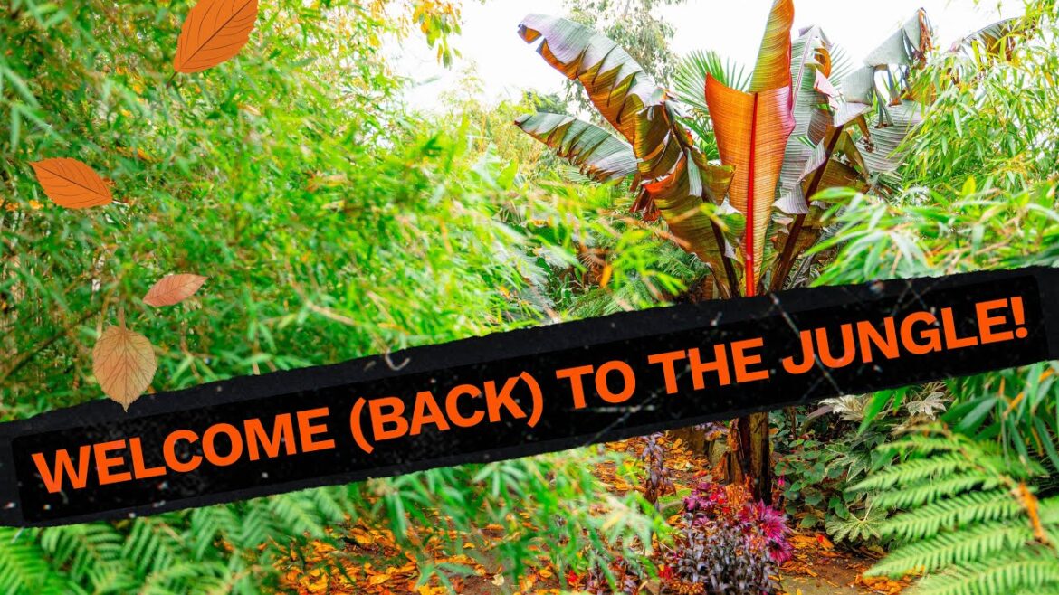 UK Tropical Jungle Garden Autumn Tour - October 2024