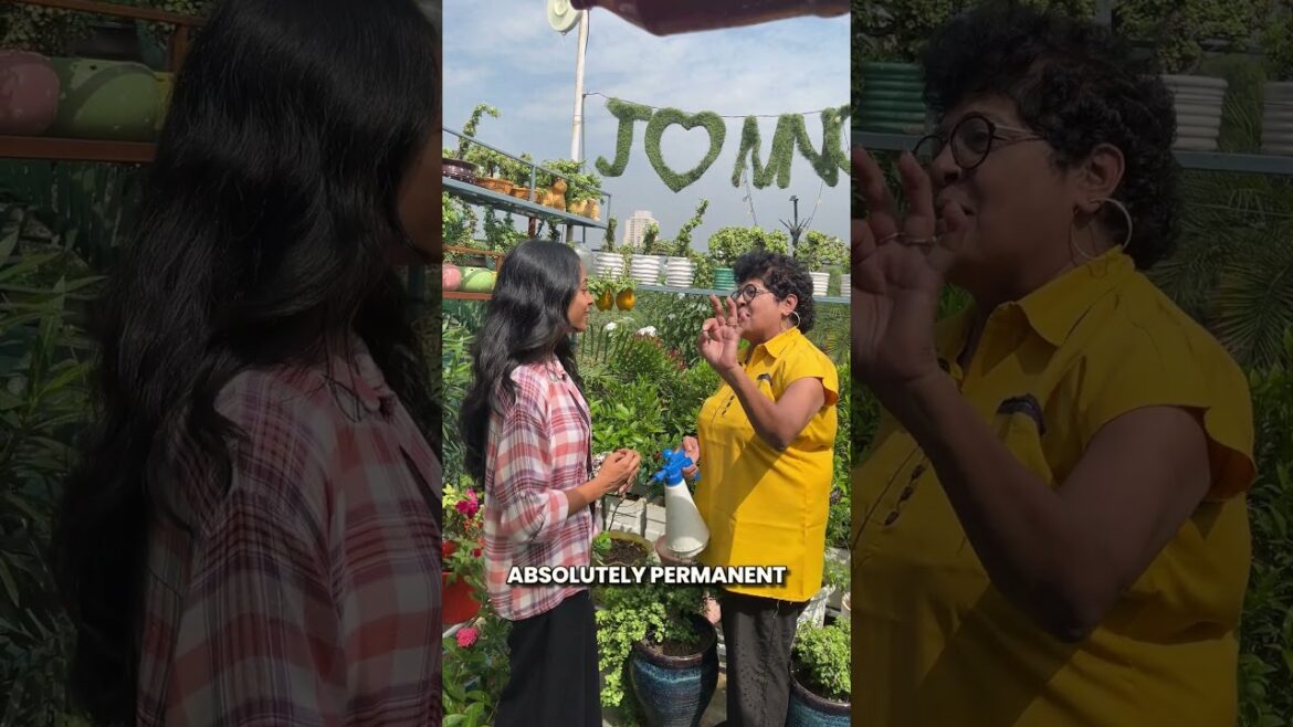 Top 6 Low-Maintenance Flowering Plants for Busy Gardeners #shorts #floweringplants #gardeningtips Top 6 Low-Maintenance Flowering Plants for Busy Gardeners #shorts #floweringplants #gardeningtips