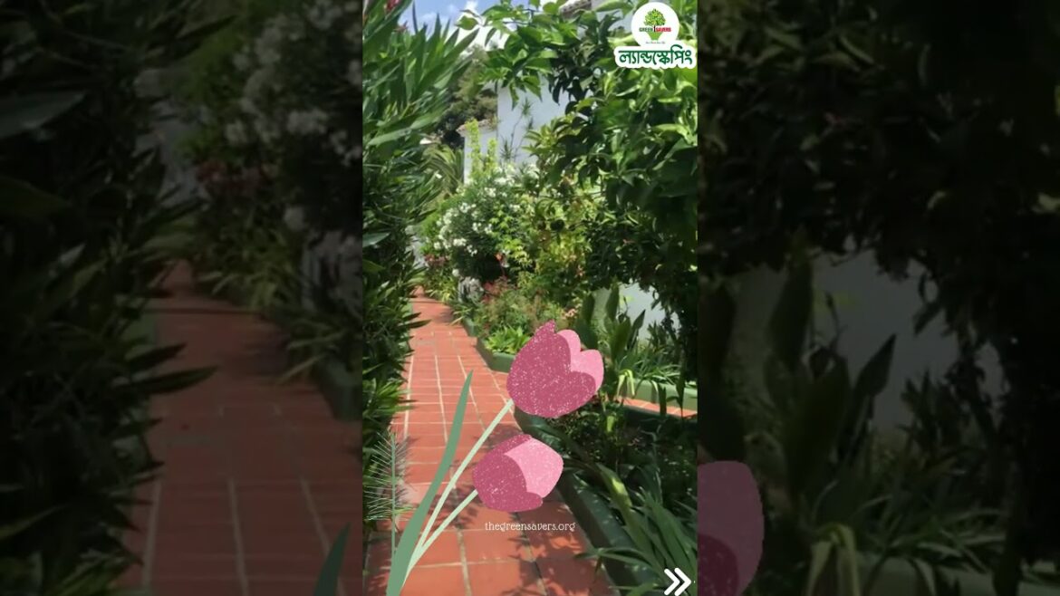 Front yard Landscape