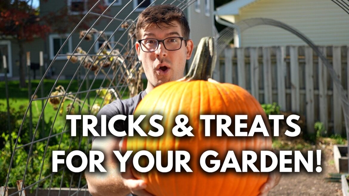 Are These Fall Garden Tips TRICKS or TREATS?