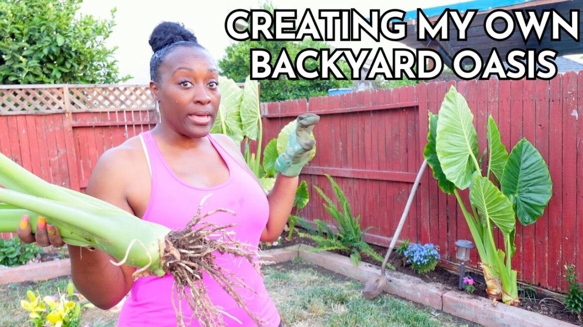 Creating My Own Outdoor Oasis! DIY Backyard Garden Makeover. Digging Up Giant Elephant Ear Plants