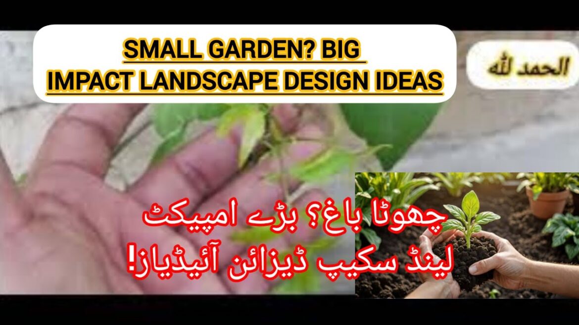 SMALL Garden? BIG Impact Landscape Design Ideasچھوٹا باغ؟ بڑے امپیکٹ لینڈ سکیپ ڈیزائن آئیڈیاز!