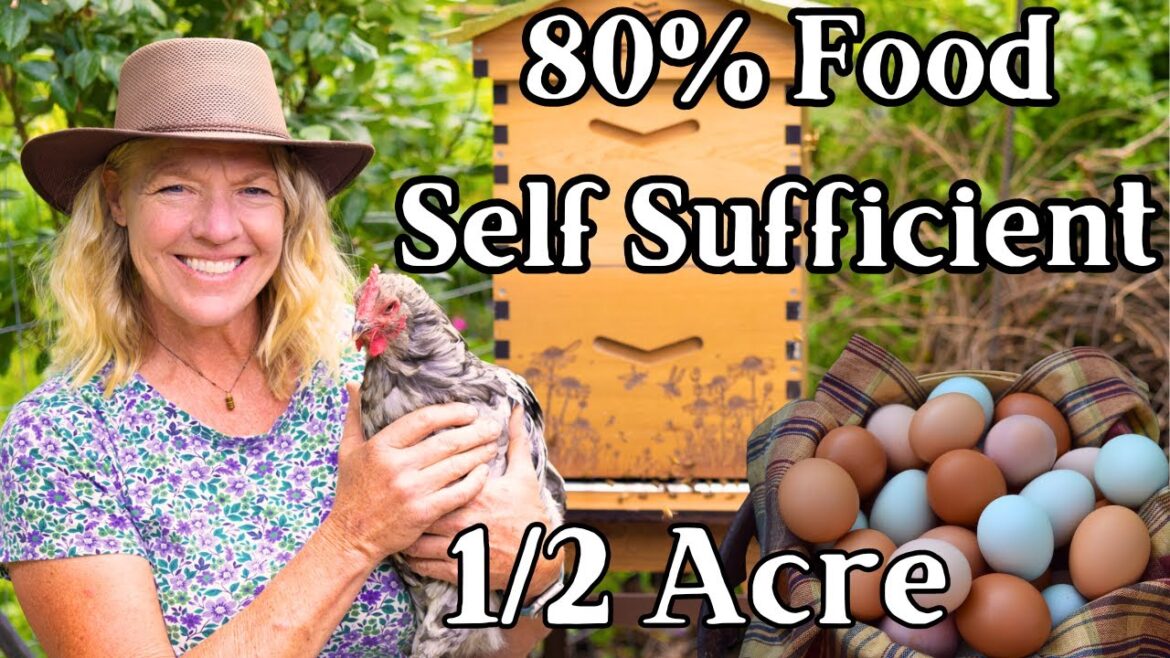 How We Produce 80% of Our Food on 1/2 Acre Homestead How We Produce 80% of Our Food on 1/2 Acre Homestead