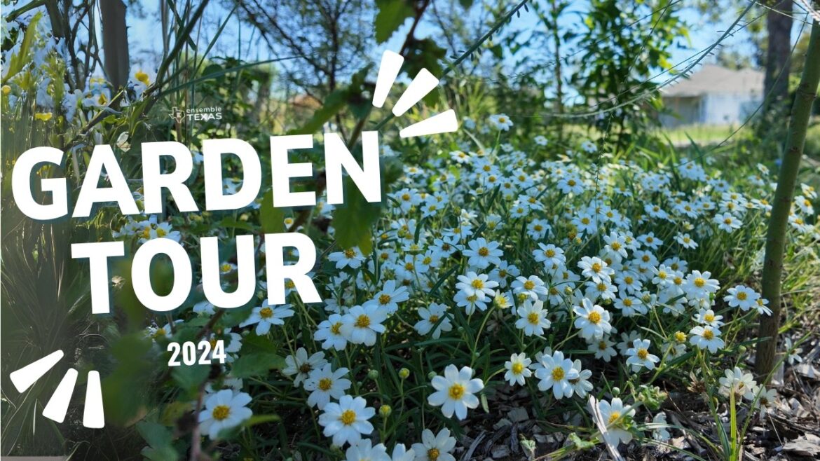 Fall 2024 Garden Tour - Native Texas Plants for a Sustainable Garden