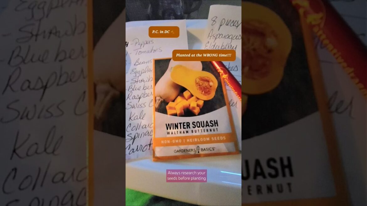 Planting the WRONG seeds in the WRONG season!ππ Planting the WRONG seeds in the WRONG season!ππ