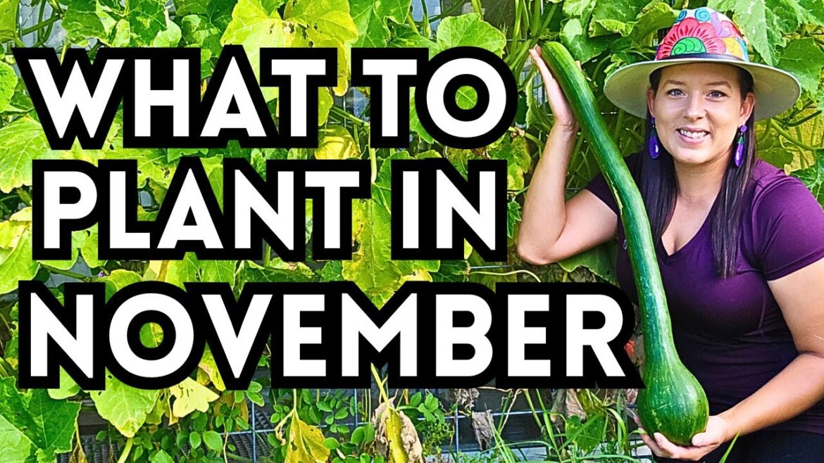 Top 30 Veggies To Plant In November For A Thriving Fall Garden