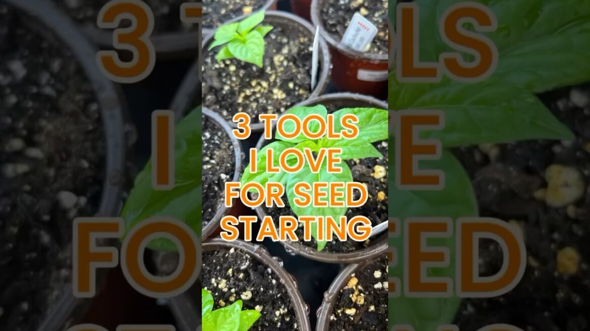 3 Best Seed Starting Tools #seedstarting #gardening #seeds #tools #gardentools #potting