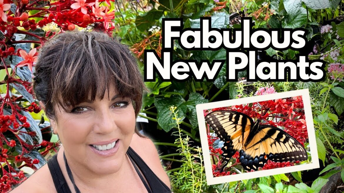 Plant Shopping Haul, A Garden Tour, Future Plans, and Planting Another Wetland Plant Container Plant Shopping Haul, A Garden Tour, Future Plans, and Planting Another Wetland Plant Container