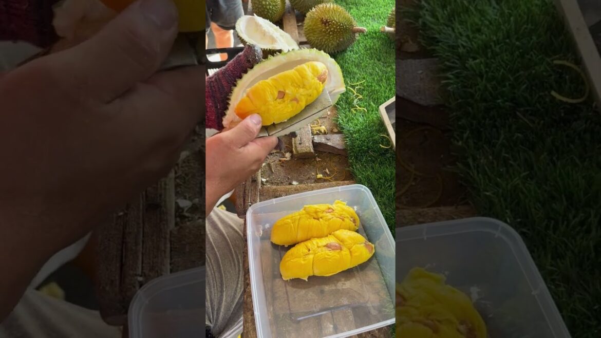 APPLE and Durian Faceoff for the BEST Fruit Crown! APPLE and Durian Faceoff for the BEST Fruit Crown!