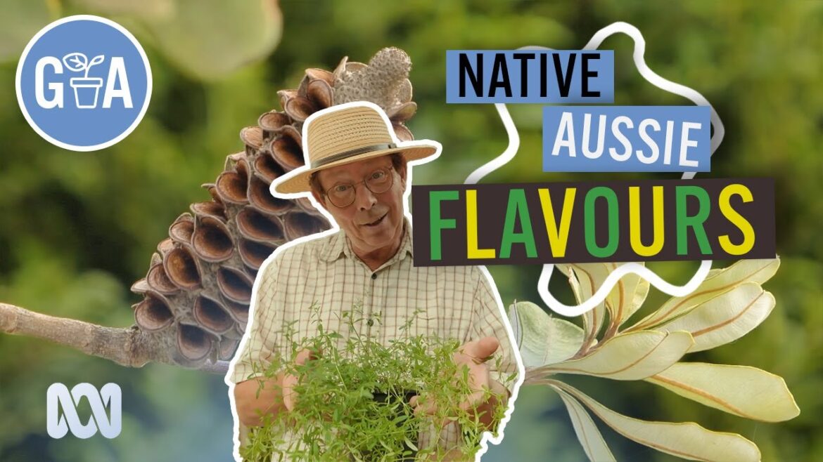Try The Aussie Native Flavours | Australian native plants | Gardening Australia