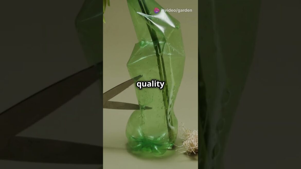 Garden Hacks That Actually Work!🌿 Top 4 Quick Tips!#gardeningideas #gardening #gardeningtips #plants