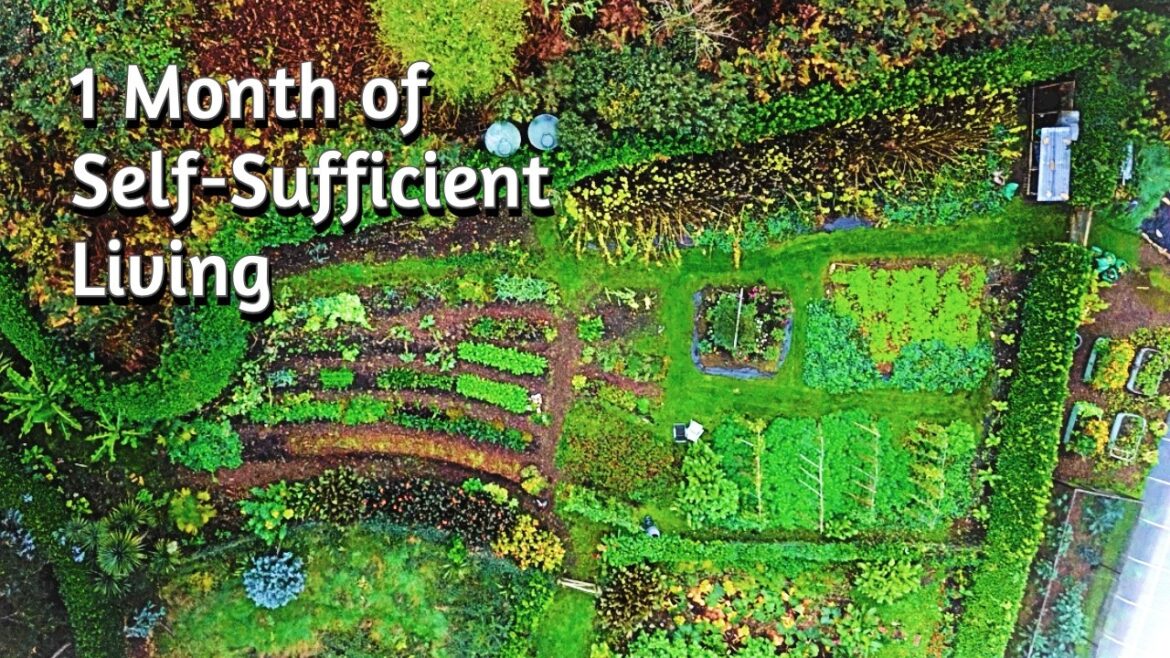 Self-Sufficient Garden UK – A Productive Permaculture Paradise – Vlog 28 Self-Sufficient Garden UK - A Productive Permaculture Paradise - Vlog 28