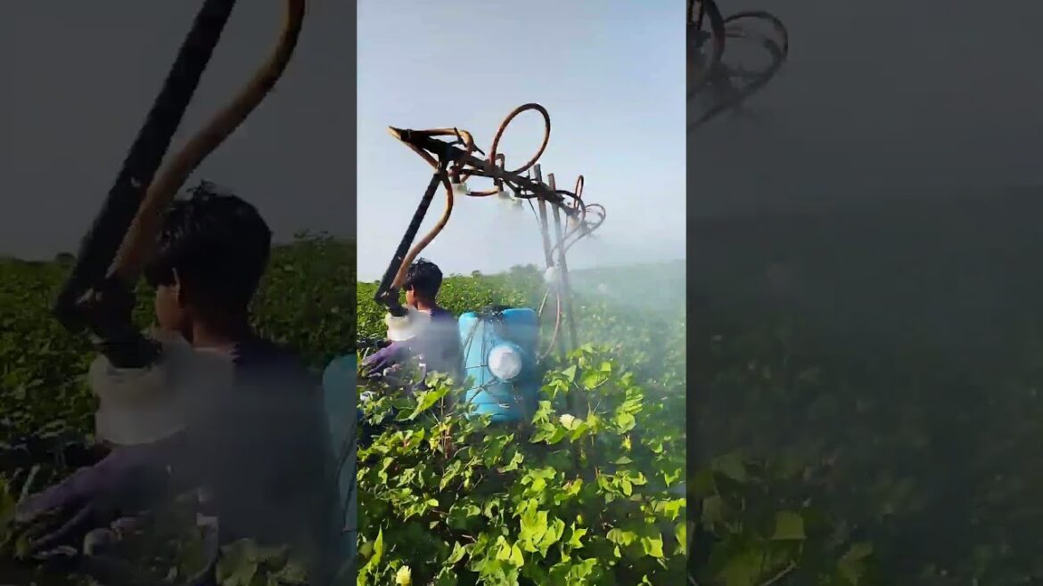 The Weirdest Farming Trends of 2024