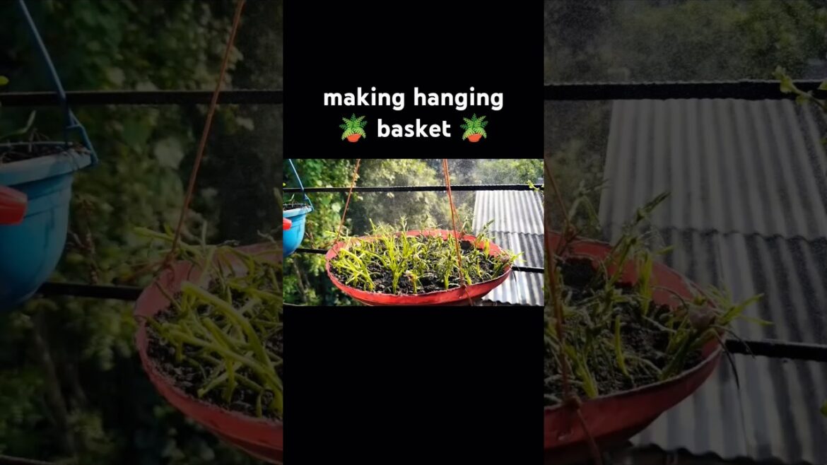 decoration idea for your Garden😀#nature #flowers #youtubeshorts #shortsviral #shorts #gardening