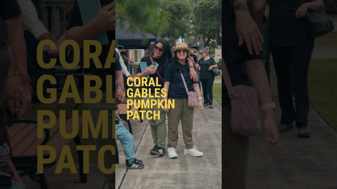 Pumpkin Patch with the family  in Miami