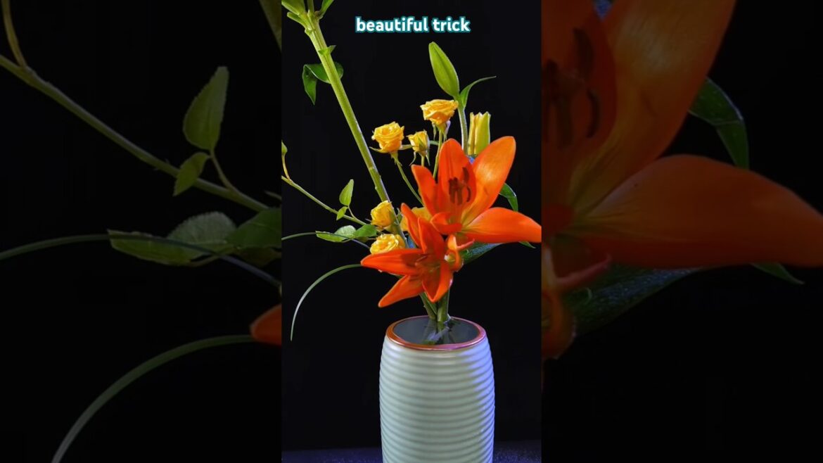 Flower Decoration Tricks #gardening #gardeninghack #flowerdecoration