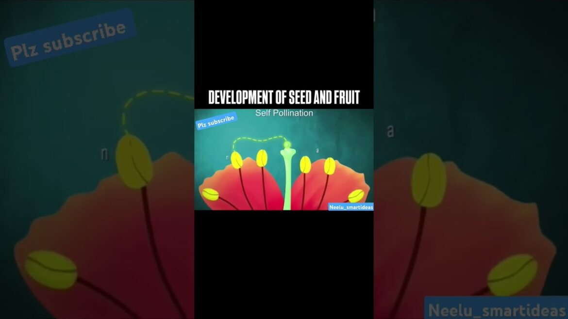 How Plants Make Seeds (and Why They Want You To Eat Them)