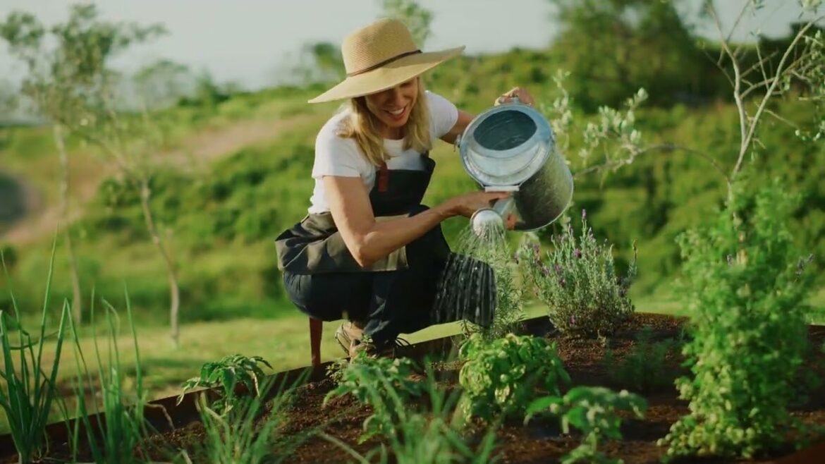 Home Vegetable Gardening: Practical Tips for Growing Fresh Produce
